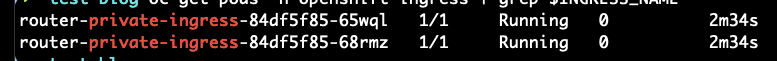 ic_running